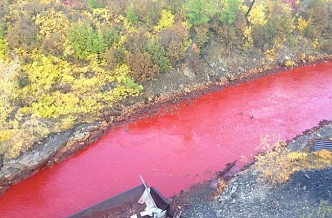俄罗斯达尔德坎河染成血红色 疑受化学物污染