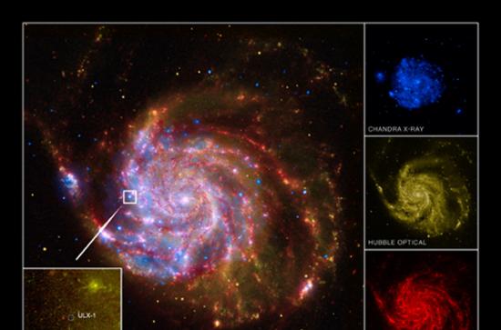 X射线极亮源M101 ULX-1位于漩涡星系M101的一个悬臂上，M101距离地球2200万光年。图片由X射线（钱德拉X射线空间望远镜）、光学（哈勃空间望远镜）