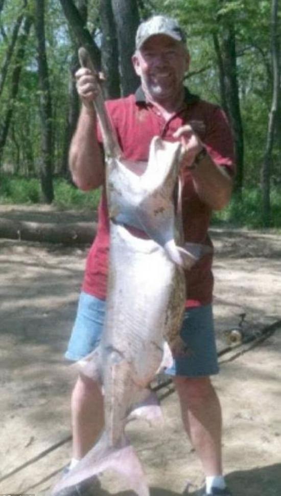 哈勒尔这位热心的垂钓者，几年前在俄克拉荷马州迈阿密捕捉到这条体型庞大的匙吻猫鱼