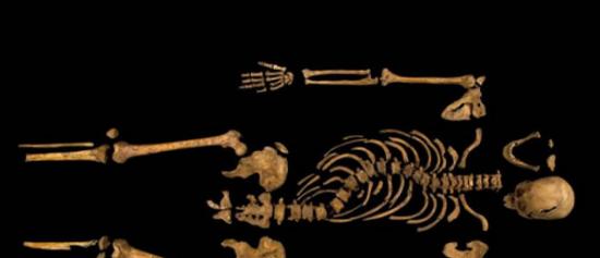 DNA比对验明理查三世国王骨骸，揭开500多年历史谜团。