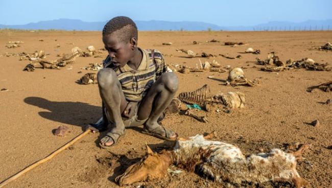 东非的粮荒情况持续严峻。