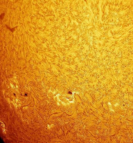 上图是天文爱好者戈登-埃文在英国赫特福德郡自家花园中拍摄的，图中太阳黑子犹如小鸡模样，是埃文使用望远镜聚焦特殊光波长拍摄到的。