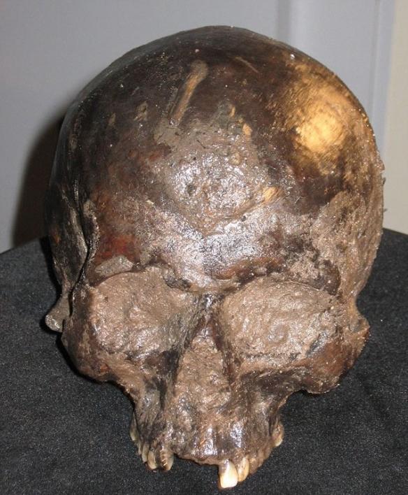 考古学家在英国约克郡发现2600年前铁器时代的人类大脑