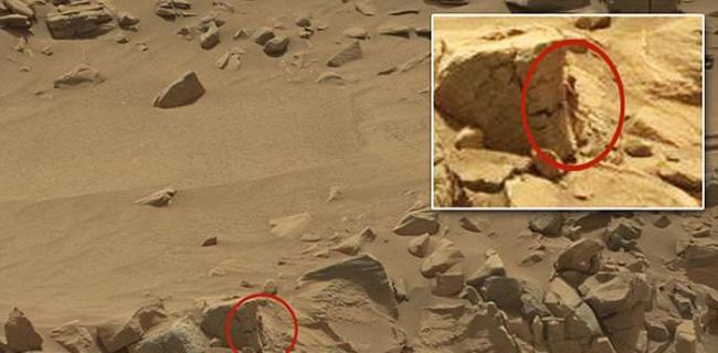 UFO猎人在好奇号火星车拍摄的照片中发现了异常现象，一个“人形生物”躲藏在岩石后方，推测其身高仅有15厘米。