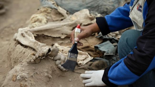 考古学家用扫帚轻力扫走骸骨表面的沙尘。