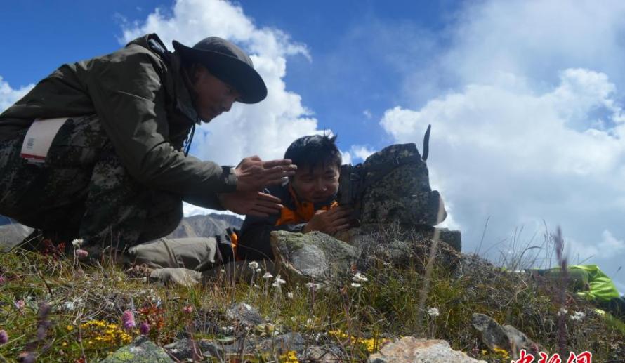 珠穆朗玛峰国家级自然保护区首次拍到野外雪豹