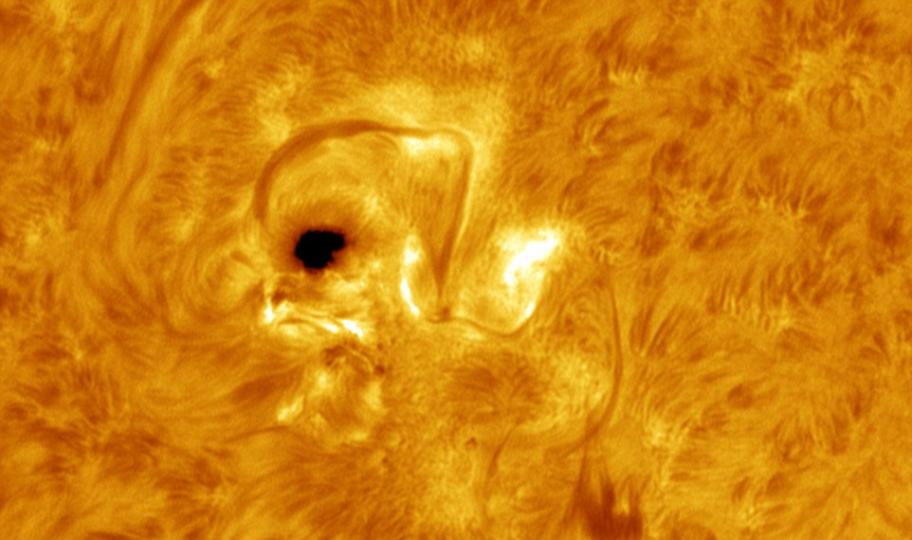 天文爱好者观测到太阳黑子竟然像一只刚出生的小鸡