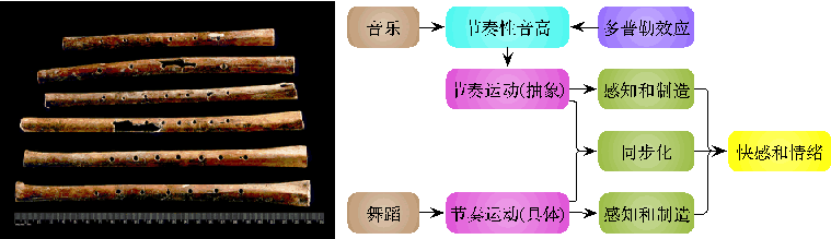 左为1980年代出土于河南省舞阳县贾湖遗址的骨笛（张居中等，Nature 401, 366, 1999），以丹顶鹤尺骨制成，距今7700~9000年；右为声音的