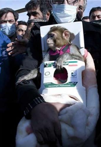 伊朗成功让第二只太空猴安全返回