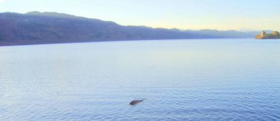 英国水怪猎人拍摄的尼斯湖水怪