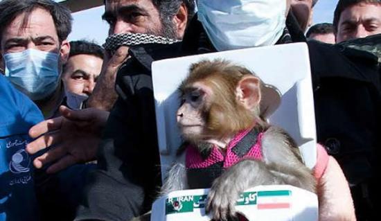伊朗成功让第二只太空猴安全返回