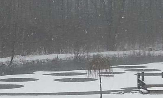 美国纽约州小城伊登一个冰冷的池塘里最近出现的神秘怪圈