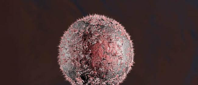 苏格兰邓迪大学研究发现：免疫系统衰老是导致癌症病发的主因