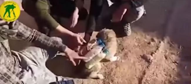 IS强逼小狗背上充满火药粉的宝特瓶，成为「自杀炸弹客」一员。