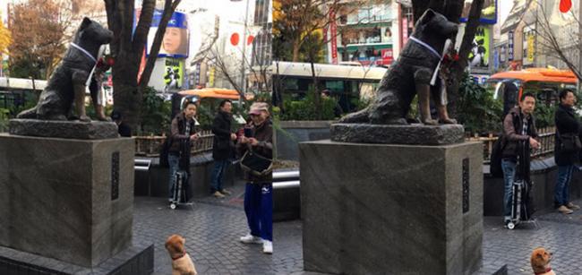 日本东京涩谷车站米克斯变“忠犬八公”小粉丝