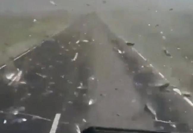 俄罗斯达吉斯坦共和国蝗虫为患 突袭公路以为系沙尘暴