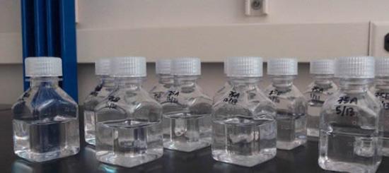 研究里收集的海水样本瓶。它们看起来是空的，但实际上包含上百万种不同类型的微生物。