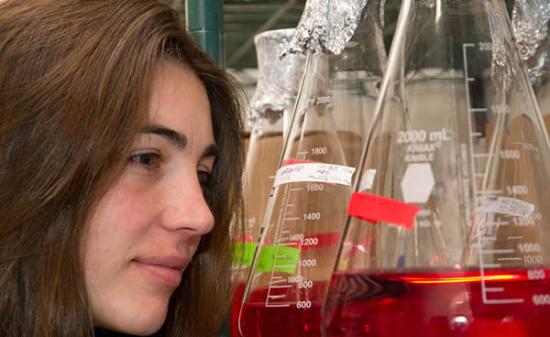 艾莉森・桑托洛在实验室里培育消耗氨的微生物