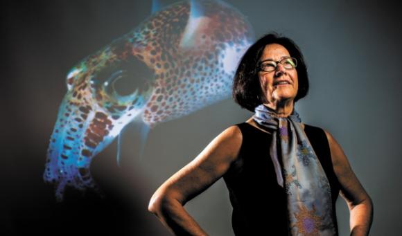 Margaret McFall-Ngai：乌贼是绝佳的实验室动物