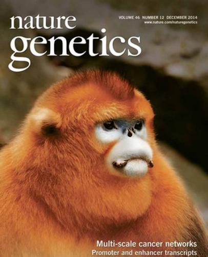 新研究阐明金丝猴属的起源和演化历史