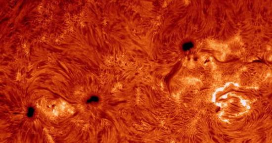 这位业余天文爱好者使用特殊望远镜装备拍摄到太阳表面涡流，图中白色闪光是太阳耀斑，黑色区域是太阳黑子。