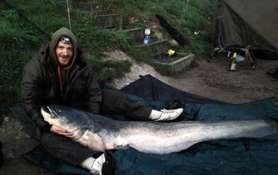 英国男子在奥克伍德公园内捕获重达106斤巨型鲶鱼