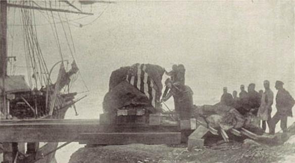 历史照片：极地探险家们正在将陨铁“Ahighito”装船，准备运往美国自然历史博物馆。
