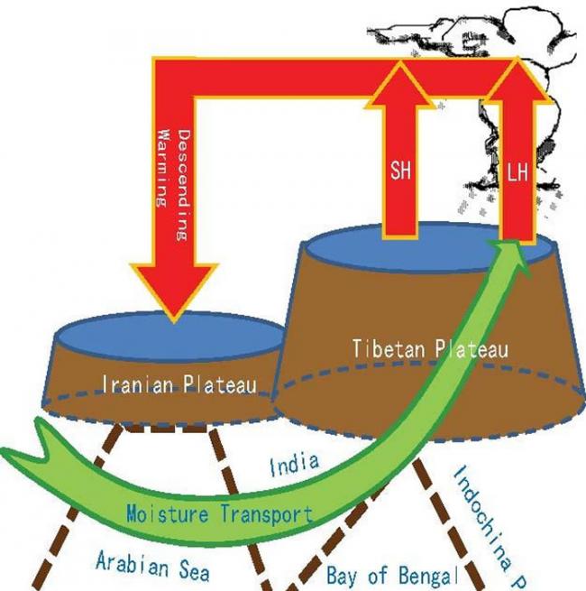 青藏高原、伊朗高原的热力强迫以及南亚的水汽输送所构成的一个相互反馈的耦合系统（TIPS）示意图