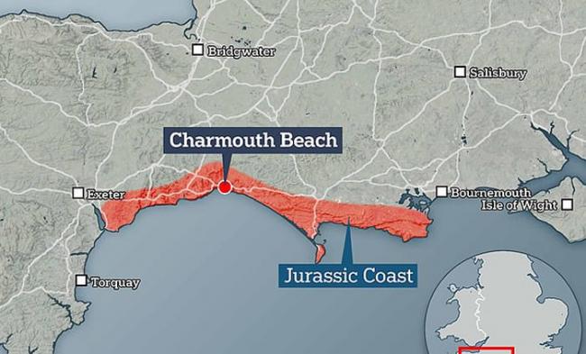 英国8岁考古爱好者在查茅斯海滩散步时发现猛犸象牙齿化石