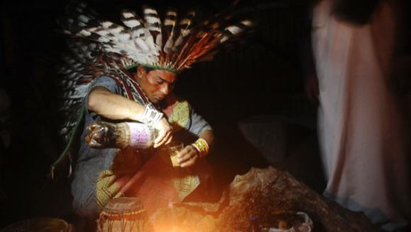 巴西村民正在制作死藤水用于传统仪式