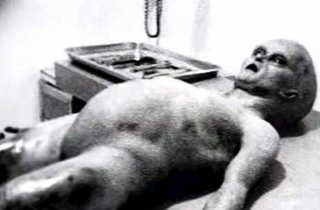 Spyros Melaris坦承《解剖外星人》纪录片造假 器官是从肉铺买来的牛羊内脏