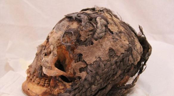 埃及古城阿马尔那出土3千年前女性遗骸 70股复杂接发盘绕颅骨