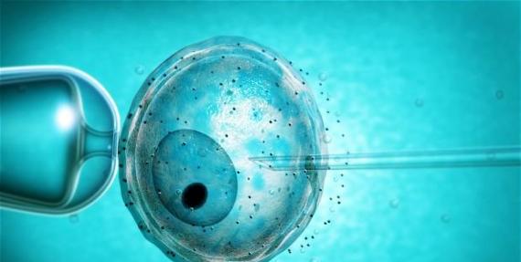 修改人类胚胎基因的实验被视为科学界“禁区”