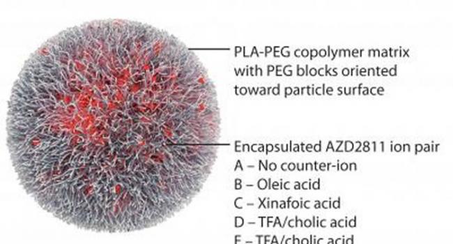 多聚物纳米颗粒Accurin包封的临床候选药物AZD2811是一种极光B激酶抑制剂