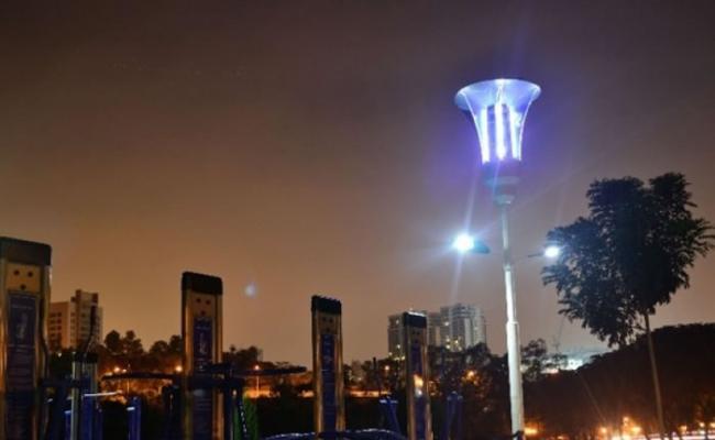 马来西亚科学家发明捕蚊街灯