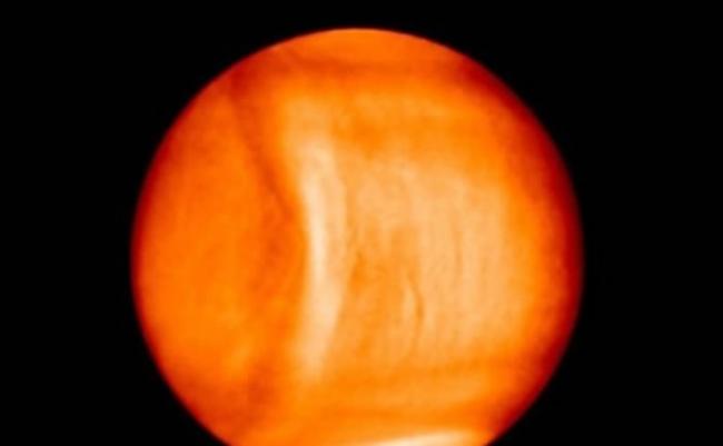 弓状云出现在图中金星的中间偏左位置，纵贯南北。