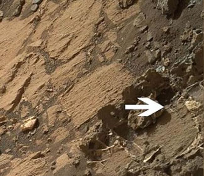 局部放大图像，外星人狂热爱好者表示，这个神秘结构是火星表面上某种生物的骨骼残骸。