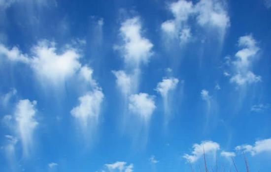 台北上空出现水母云