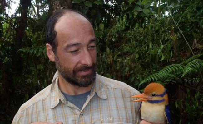 美国科学家在所罗门群岛发现罕见雀鸟须翡翠后将其杀死制成标本引起公愤