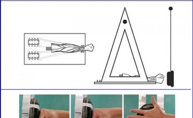 研究人员以死人臂制作仪器（上图），研究人类的手掌的结构及用途。下图为真人手臂示范。