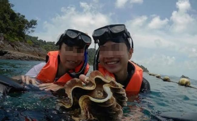 网上流传有游客拾巨蚌拍照。