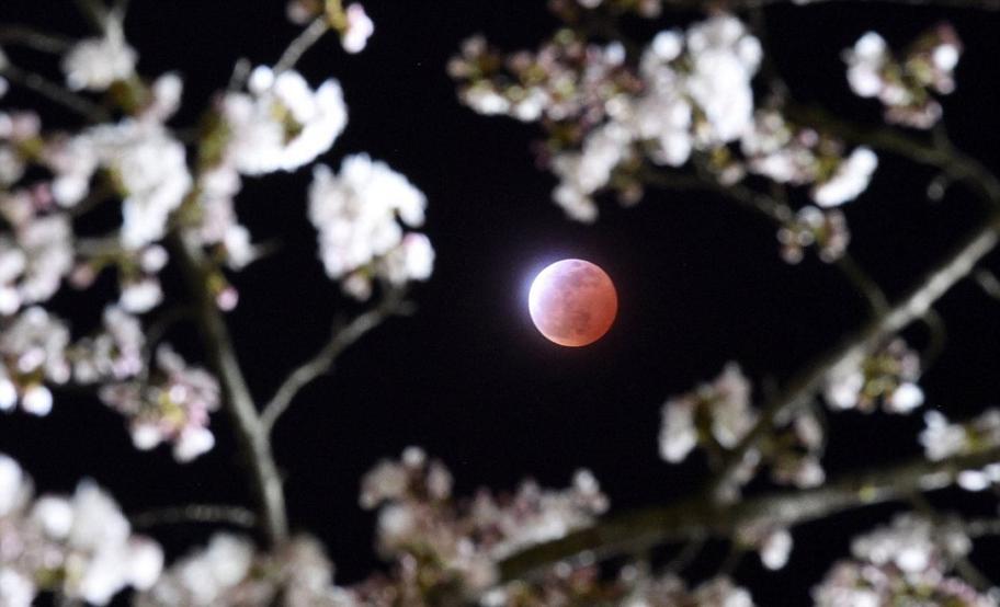 日本东北部宫城县拍摄到的月全食
