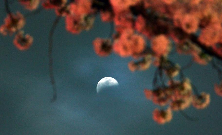 日本拍摄到的月全食