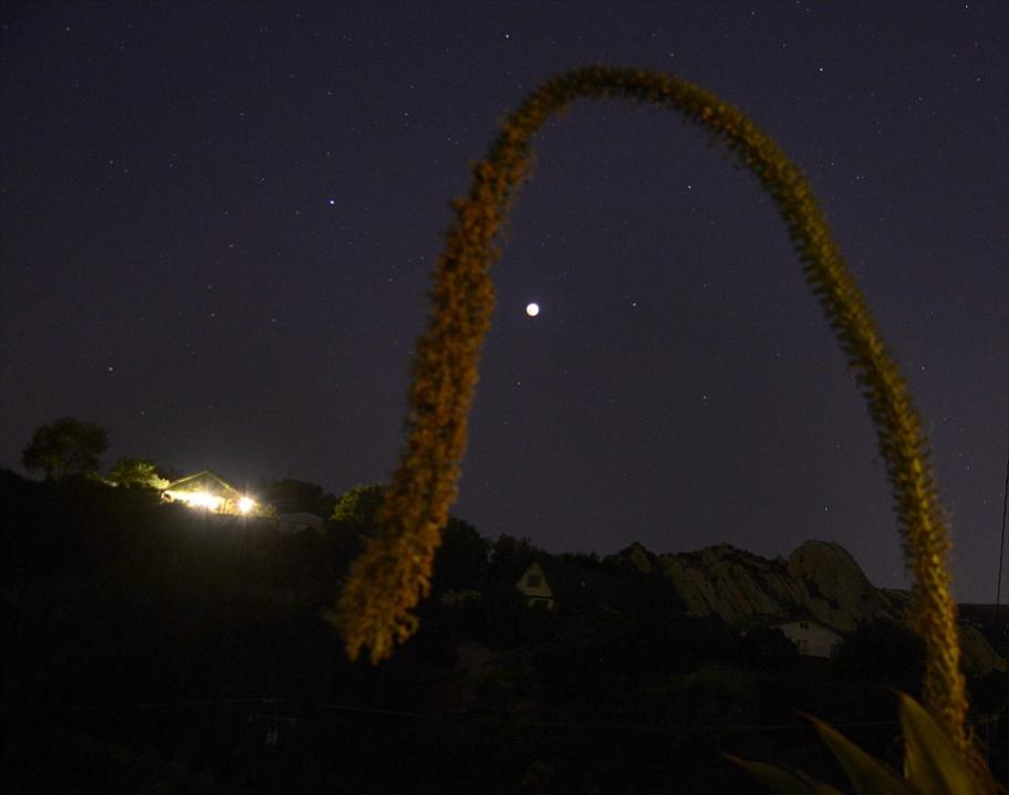 美国加州圣莫尼卡山脉夜空中的满月，月全食即将开始。