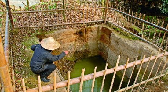 永康湖西遗址发现9000年前驯化水稻的有力物证：小穗梗