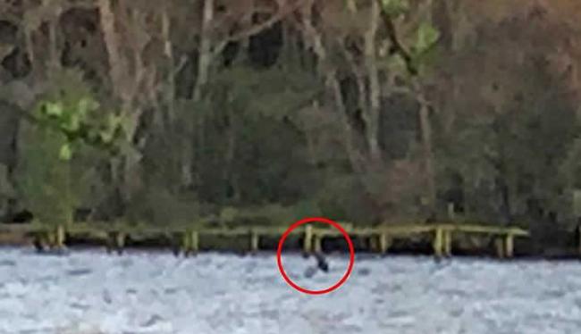 睽违8个月的尼斯湖水怪露面 女游客拍到湖边露出黑色奇怪形体