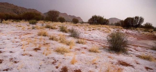 沙漠地面看似被白雪覆盖