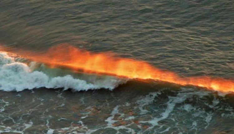 英国业余摄影师Peter Staddon拍摄的海面“起火”奇观