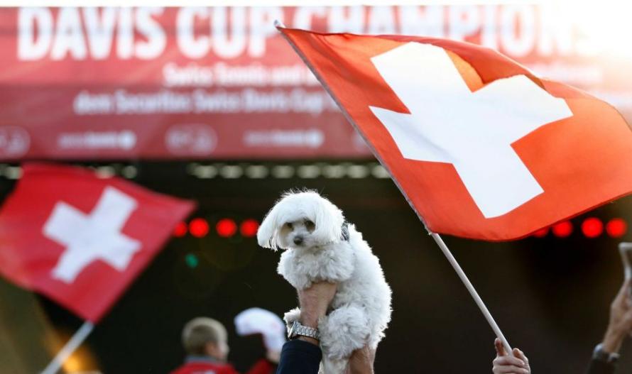 3%瑞士人会吃猫狗 动保团体请愿立法阻止