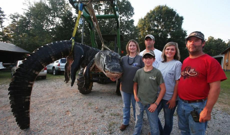 美国阿拉巴马州一家5口缠斗10小时捕获460公斤重巨型短吻鳄